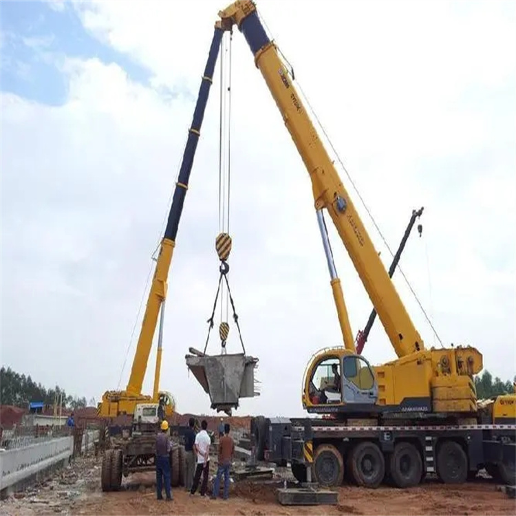 达川小型吊机出租电话|厂房设备吊装方案|24小时服务覆盖